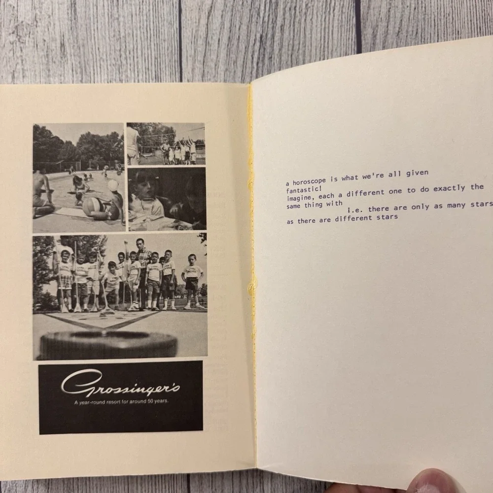 Biopoesis Io 20 1974 Harvey Bialy Robert Kelly Literary Journal Poetry Rare